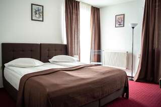 Гостевой дом Casa Vlasin Пояна-Брашов Стандартный двухместный номер с 1 кроватью или 2 отдельными кроватями-5
